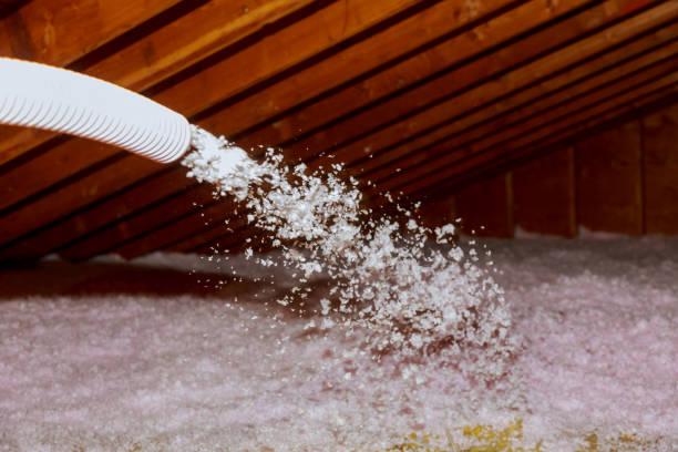 Best Spray Foam Insulation in Perry, LA