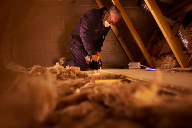 Best Specialized Insulation Services in Perry, LA