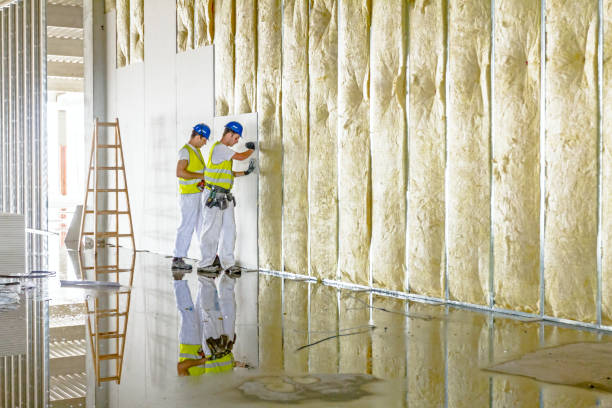 Best Blown-in Insulation in Perry, LA
